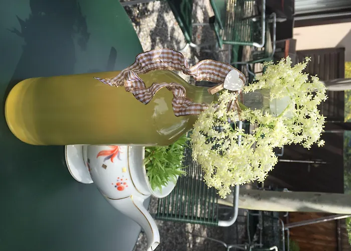 Sportcenter Fünf Dörfer Ag Otel Zizers